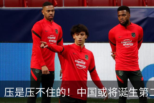 压是压不住的！中国或将诞生第二个华为